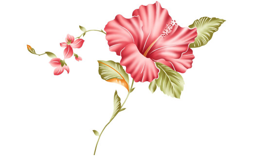588145 (a): :3040x1900